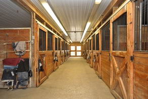 Stables - Country homes for sale and luxury real estate including horse farms and property in the Caledon and King City areas near Toronto